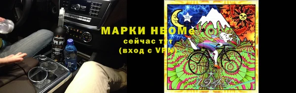 соль ск Инсар
