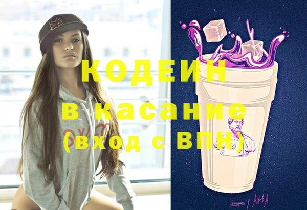 соль ск Инсар