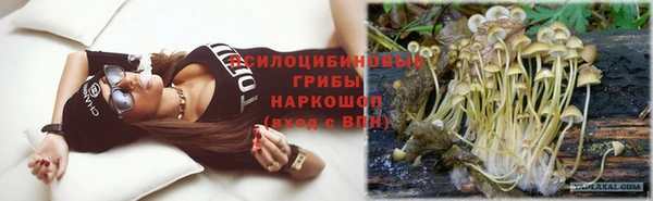 соль ск Инсар
