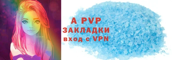 соль ск Инсар