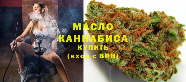 соль ск Инсар