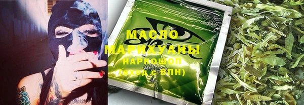 соль ск Инсар