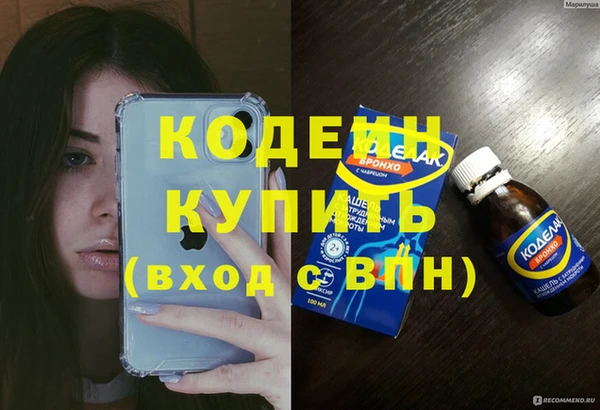 соль ск Инсар