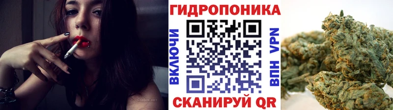 Купить закладки  Ветлуга  Каннабис VHQ 